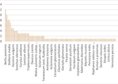 Grafik: Anzahl der gefundenen Arten