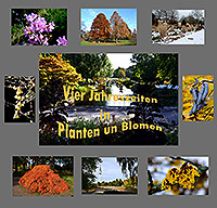 Jahreszeiten_in-Planten-Blo