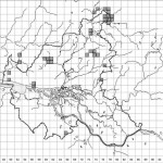 Wald-Bingelkraut (Mercuralis perennis) als Zeigerpflanze für historisch alte Wälder